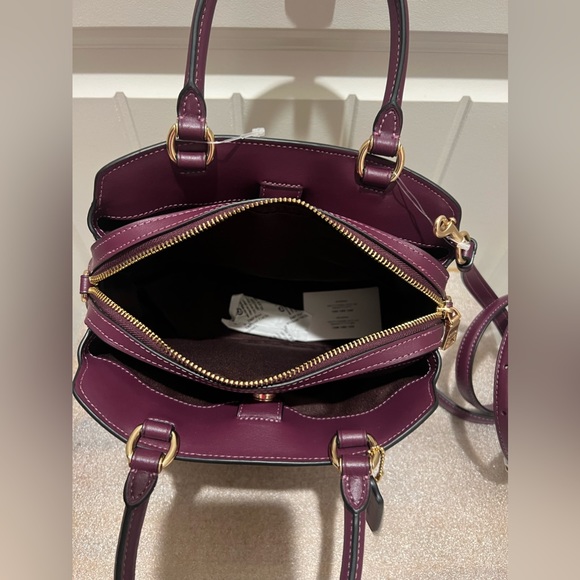 NWT Coach Minnie carryall - Picture 10 of 14